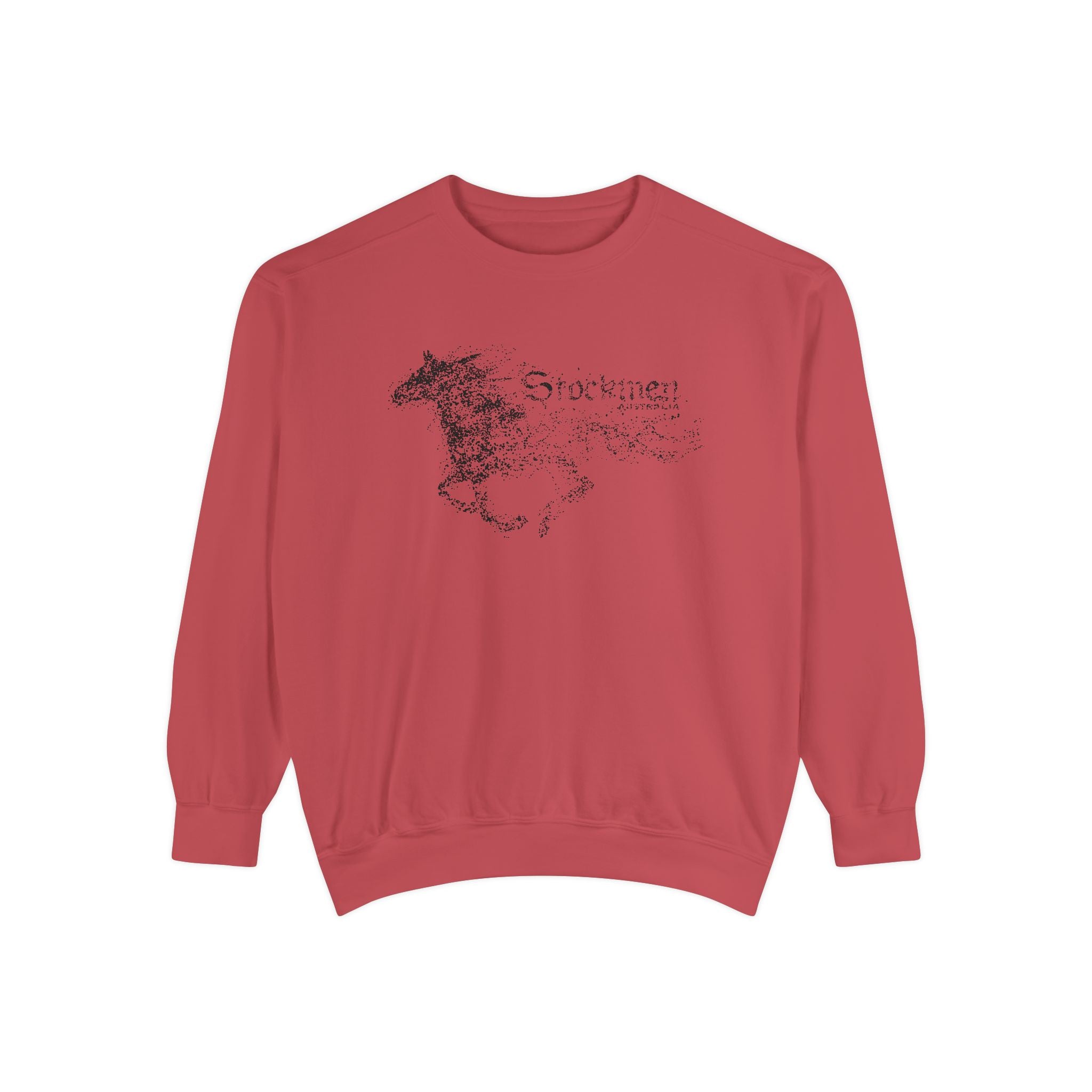 STORM Sweatshirt